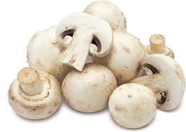 Mushroom