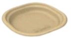 Bagasse Disposable Plate