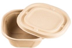 Disposable Food Container