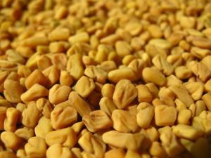 Fenugreek Seed