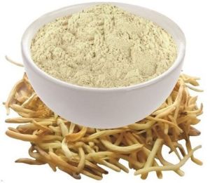 Safed Musli Powder