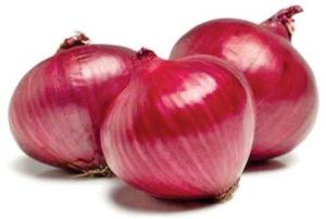 Medium Size Onion