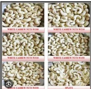 cashew nuts