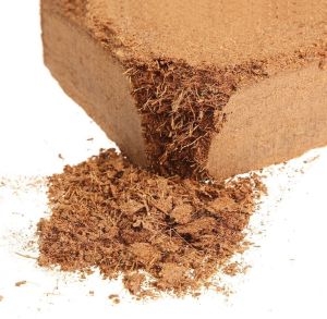 Buffered Quality Coir Pith Block For Seed Germination