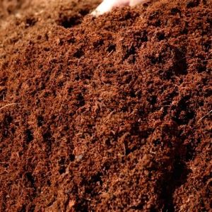 coco peat manure