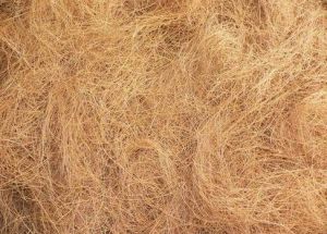 Coir Fibre