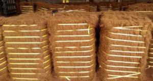 Brown Coco coir Fiber