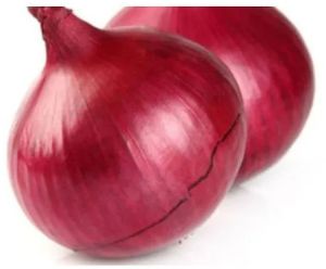 Fresh Small Red Onion