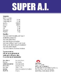 SUPER A.I