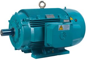 TEFC IE-3 Induction Motor