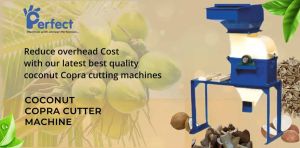 Automatic Copra Cutter Machine