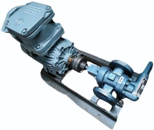 Flameproof Gear Pump