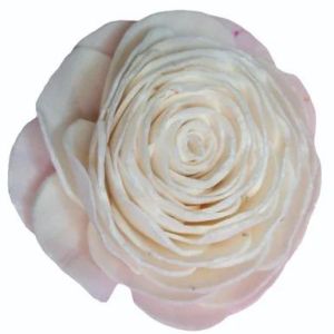 White Sola Wood Flower