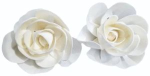 White Sola Wood Flower