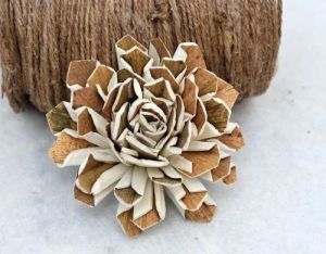 Brown Sola Wood Flower