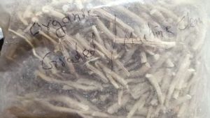 Ashwagandha Roots