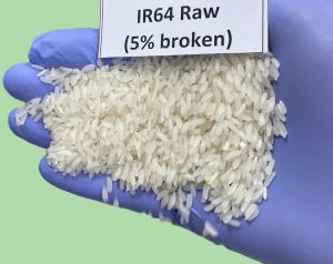 IR 64 Raw Non Basmati Rice