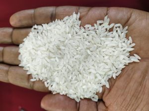 IR 64 Raw Non Basmati Rice