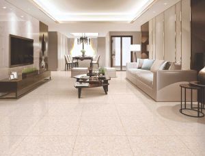 Double Charge Vitrified Tiles