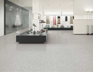 Double Charge Vitrified Tiles
