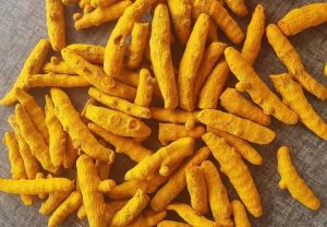 Double Polished Turmeric Finger