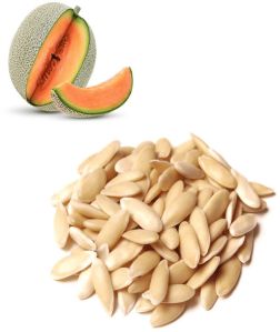 Cantaloupe Seeds