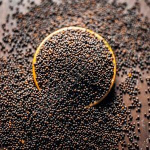 Black Mustard Seeds