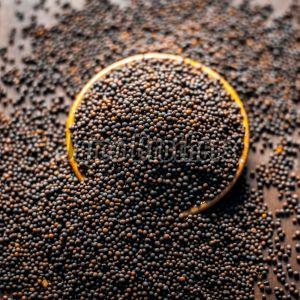 Indian Black Mustard Seeds