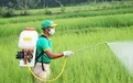 Biopesticide