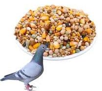 10 Kg Big Bro Pigeon Feed