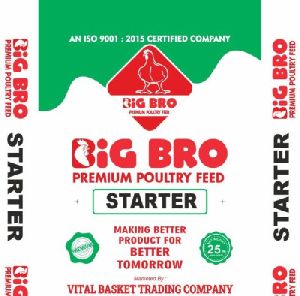 Big Bro Starter Crumb