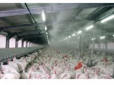 Poultry Fogging System