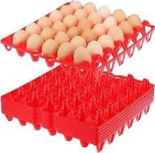 Egg Tray