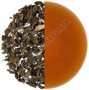 Ginger Blend Tea