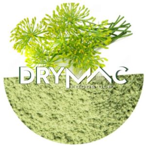 Green Fennel Flavor Powder