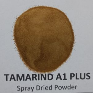 Spray Dried Tamarind Powder