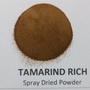 Spray Dried Tamarind Powder