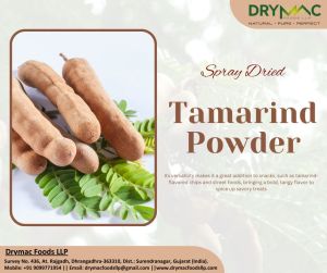 Spray Dried Tamarind Powder
