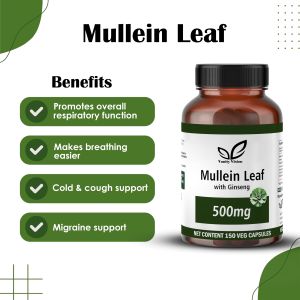 Mullein Leaf 500mg Capsules
