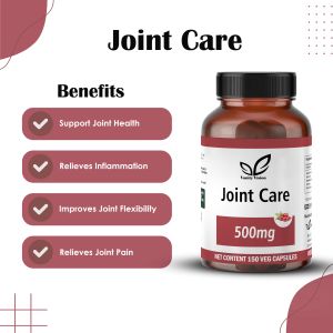 Joint Care 500mg Capsules