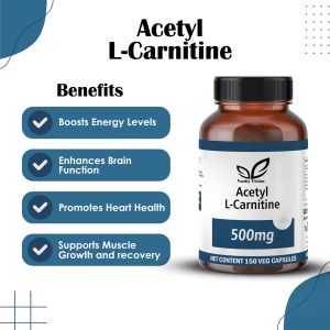 Acetyl L-carnitine 500mg Capsules