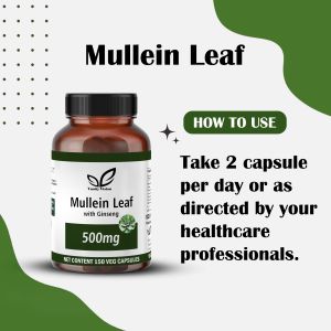 Mullein Leaf 500mg Capsules