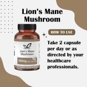Lion\'s Mane Mushroom 500 mg Capsules