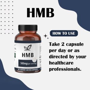HMB 500mg Capsules