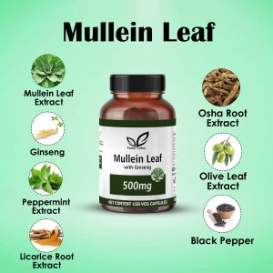 Mullein Leaf 500mg Capsules