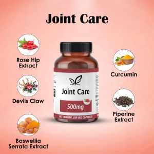 Joint Care 500mg Capsules