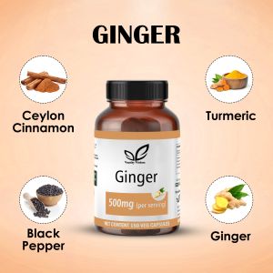 Ginger 500 mg Capsules