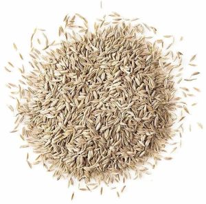 white cumin seeds