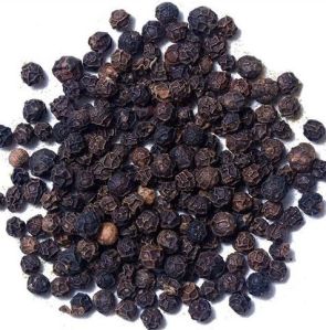 Black Pepper Seeds