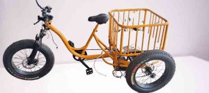 Electric Tricycle